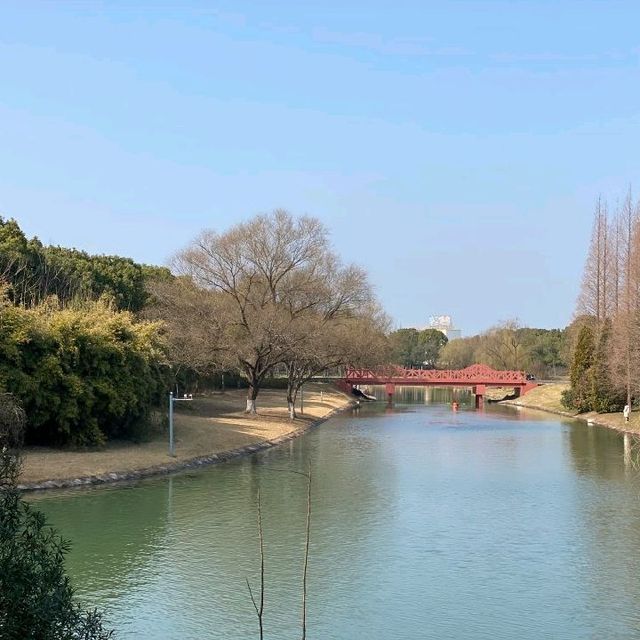 Oriental Land, Shanghai