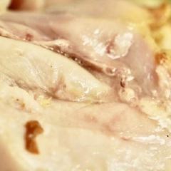 Forum Restaurant User Photo