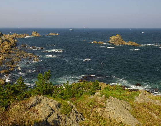 八戶 自由行套票