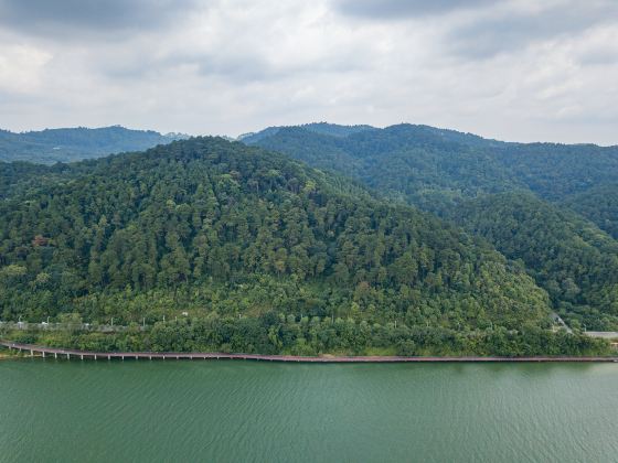 Sanmenjiang National Forest Park