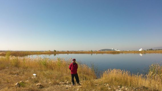 Hanhai Rose Willow Forest