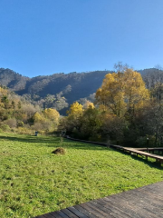 雲屏山地旅遊度假區