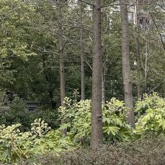 温泉鸡蛋小摊 User Photo