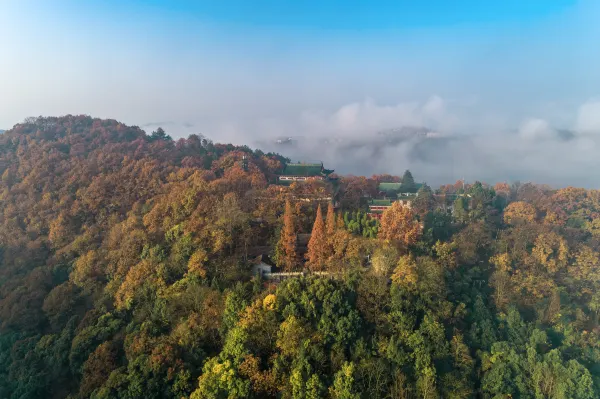 Hotel dekat Ankangshi Cang Yijiao Museum