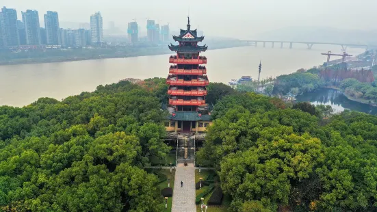 神農公園（東北門）