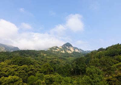 Mengshan Baihuayu Scenery Spot