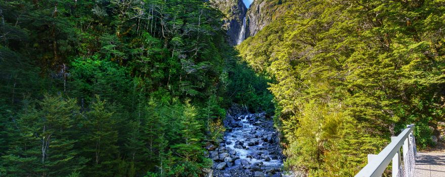 Arthur's Pass National Park