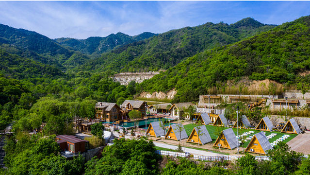 jiu ru shan mu wu yong chi lu ying di