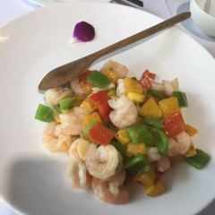Seestern User Photo