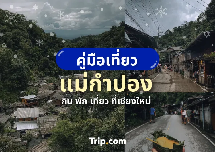  คู่มือเที่ยวแม่กำปอง กิน พัก เที่ยว กับ Trip.com ไปแม่กำปองทำอะไรได้บ้าง? 