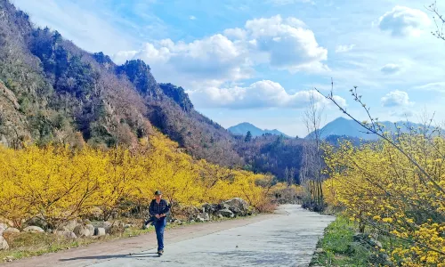 Laojie (Old Boundary) Ridge
