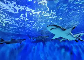 Beijing Underwater World Exhibition