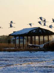 Fuyuxian Wuyu'erhe Wetland Park