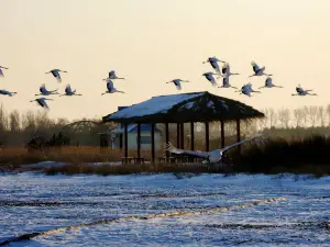 Fuyuxian Wuyu'erhe Wetland Park