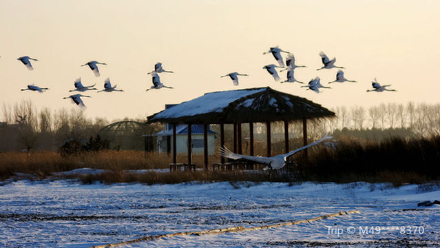 Fuyuxian Wuyu'erhe Wetland Park