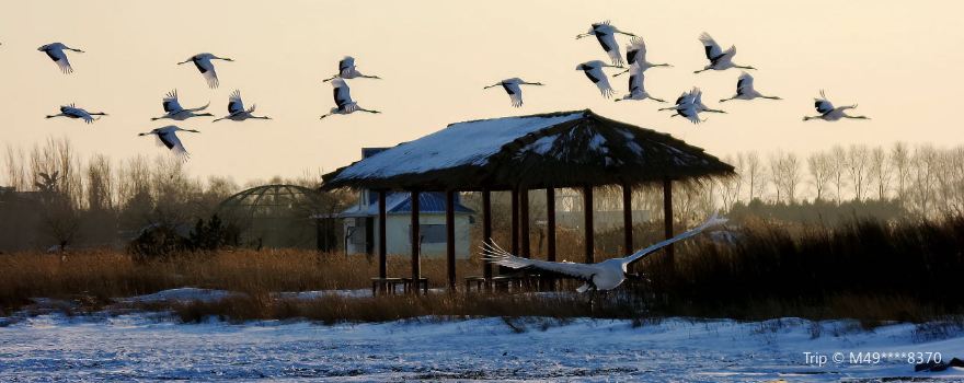 Fuyuxian Wuyu'erhe Wetland Park