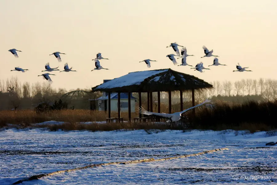 Fuyuxian Wuyu'erhe Wetland Park