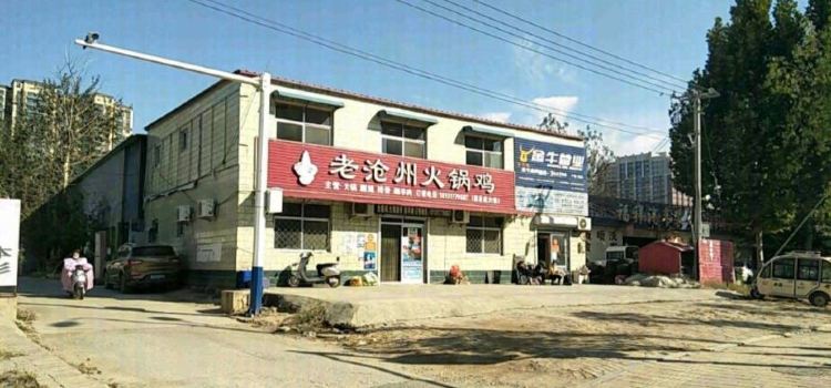 老沧州火锅鸡(黄河西路店)