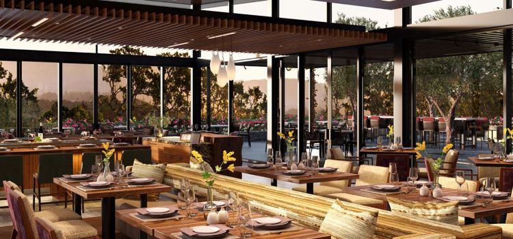 Hazel Hill at Montage Healdsburg
