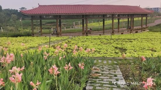 Yicang Flower Sea