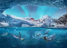 SeaWorld Abu Dhabi