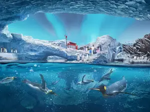 SeaWorld Abu Dhabi