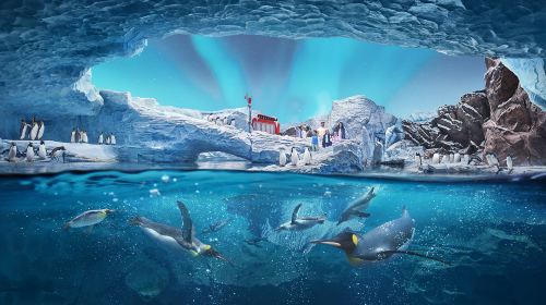 SeaWorld® Yas Island