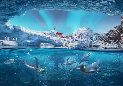 SeaWorld® Yas Island