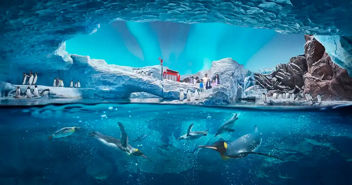 Hotels near SeaWorld® Yas Island