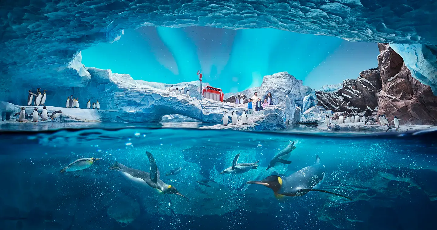 1_SeaWorld® Yas Island