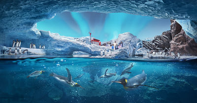 SeaWorld® Yas Island