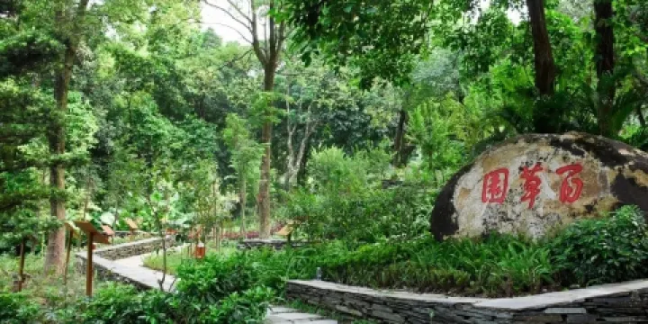 羅浮山珍稀植物觀光園