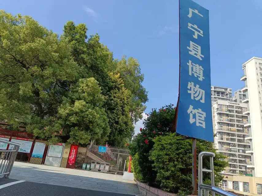 Hotels near Guangning Museum