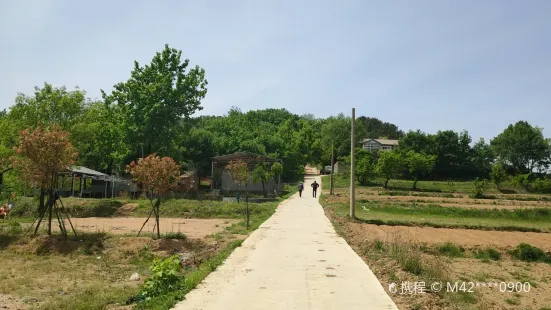Jiulongshan Scenic Area