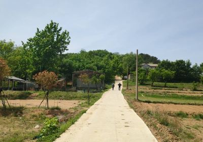 Jiulongshan Scenic Area