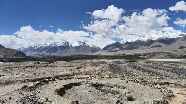 qu shen man bai huo jiao yi zhi