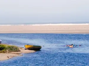 Oceano Dunes State Vehicular Recreation Area
