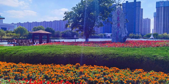 白天鵝公園