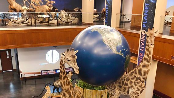 Bean Life Science Museum