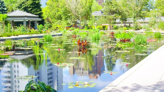 Denver Botanic Gardens
