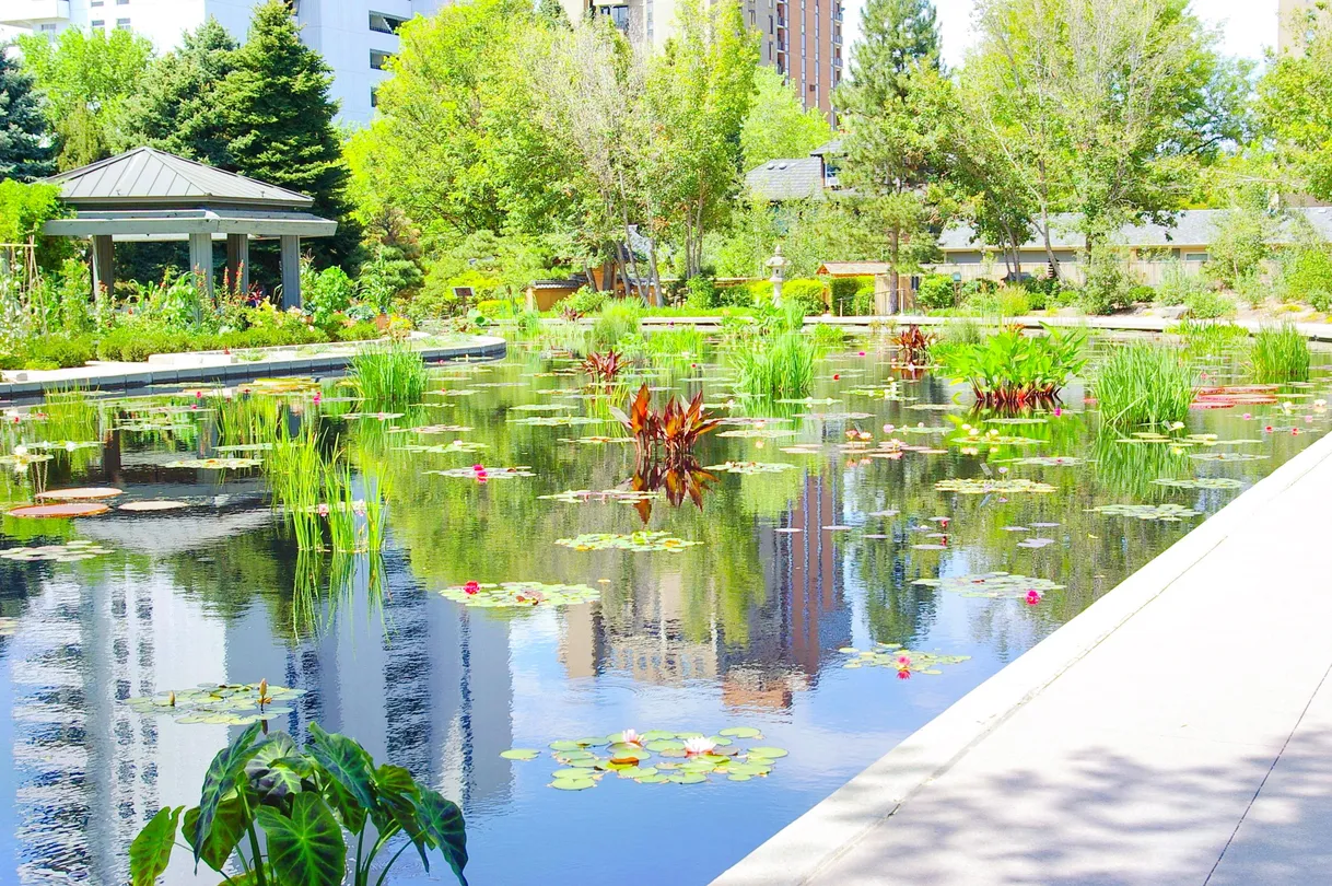 1_Denver Botanic Gardens
