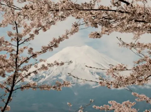 สวนสาธารณะอาราคุระยามะเซ็นเก็น