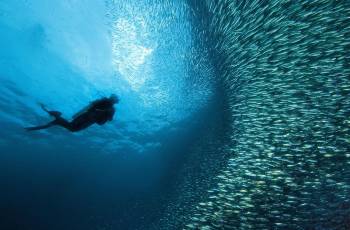 Popular Activities in Cebu