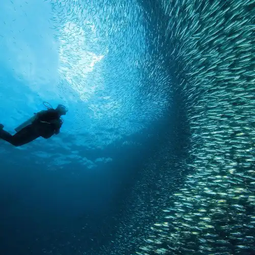 Popular Activities in Cebu