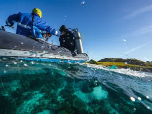 Scuba Diving in Komodo