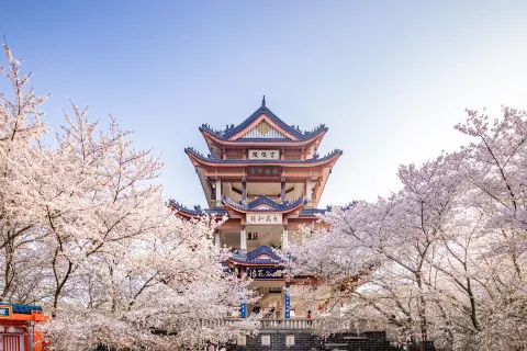 Tai Hu Yuantouzhu Scenic Spot