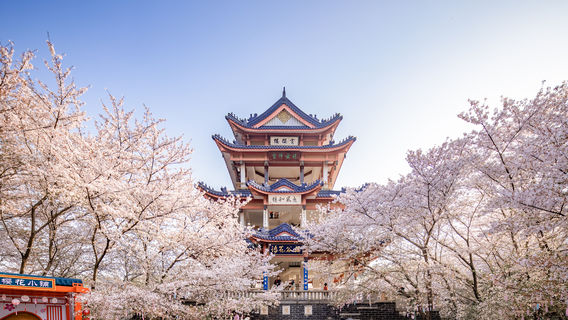 Tai Hu Yuantouzhu Scenic Spot