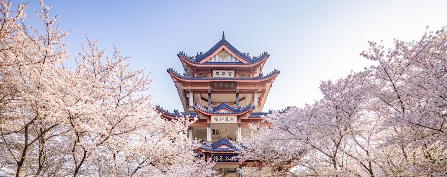 Tai Hu Yuantouzhu Scenic Spot