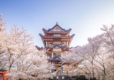 Tai Hu Yuantouzhu Scenic Spot