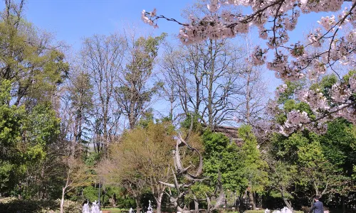 Công viên Hibiya